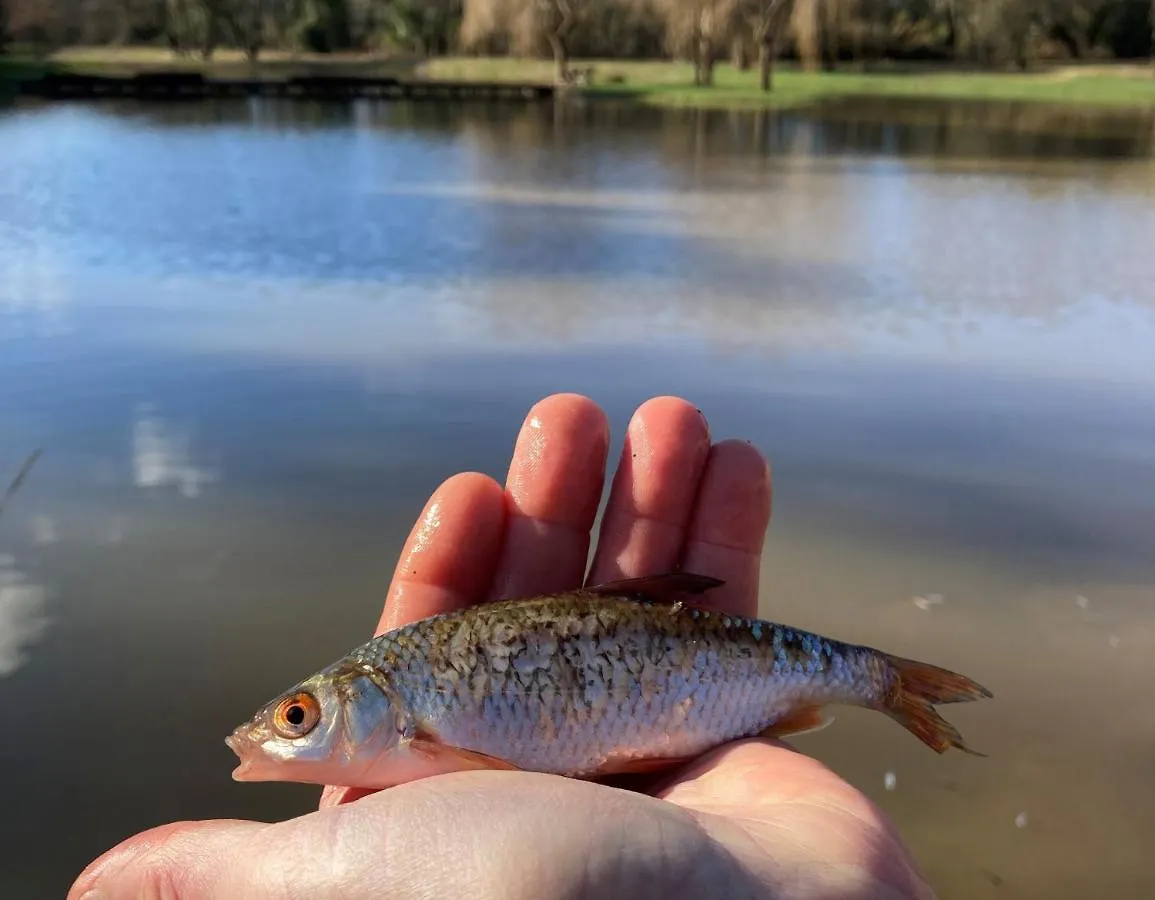 Ecolodge Charles Ashton Hebergement Insolite Sur L'Eau Sarzeau Campsite